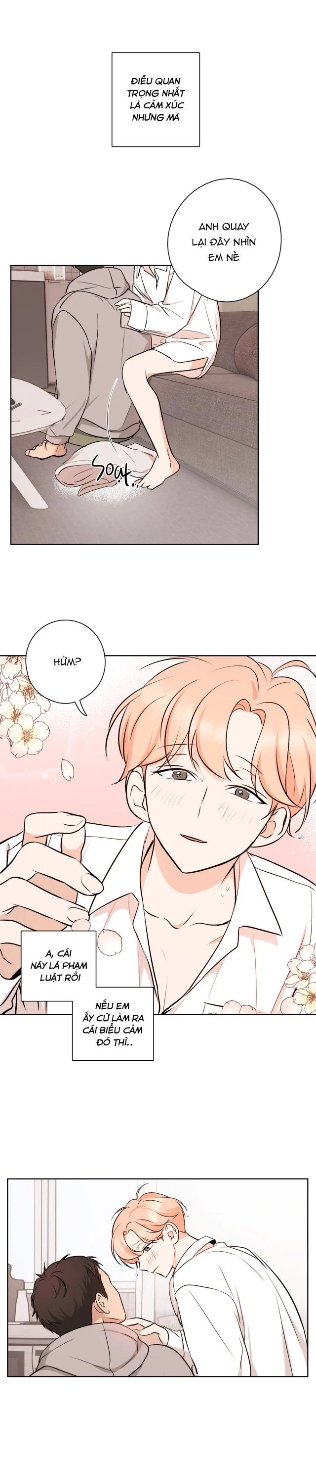 khi đào nở hoa chapter 22 15