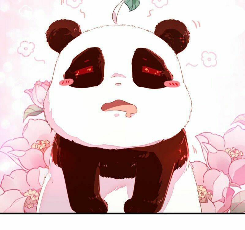 thiên thần gấu trúc muốn được ôm chapter 11 10