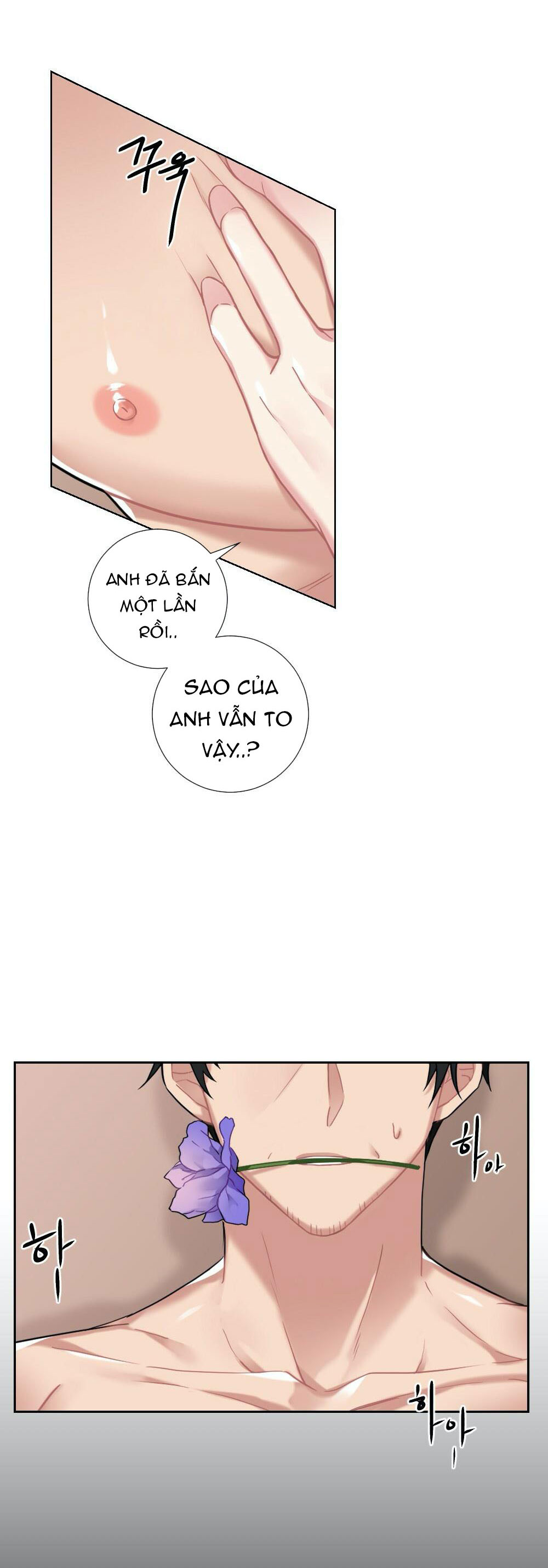 cô chủ và người hầu chapter 10 40