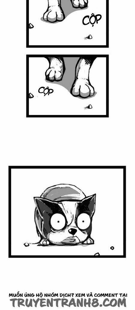 earth, human, and animal chapter 21 6