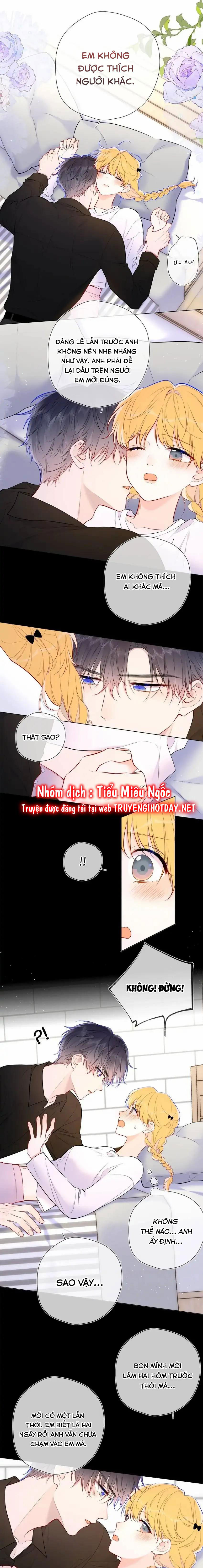 Vì Sao Của Tôi chapter 142 - Trang 4