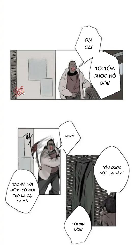 ánh nhìn của quạ chapter 5 22