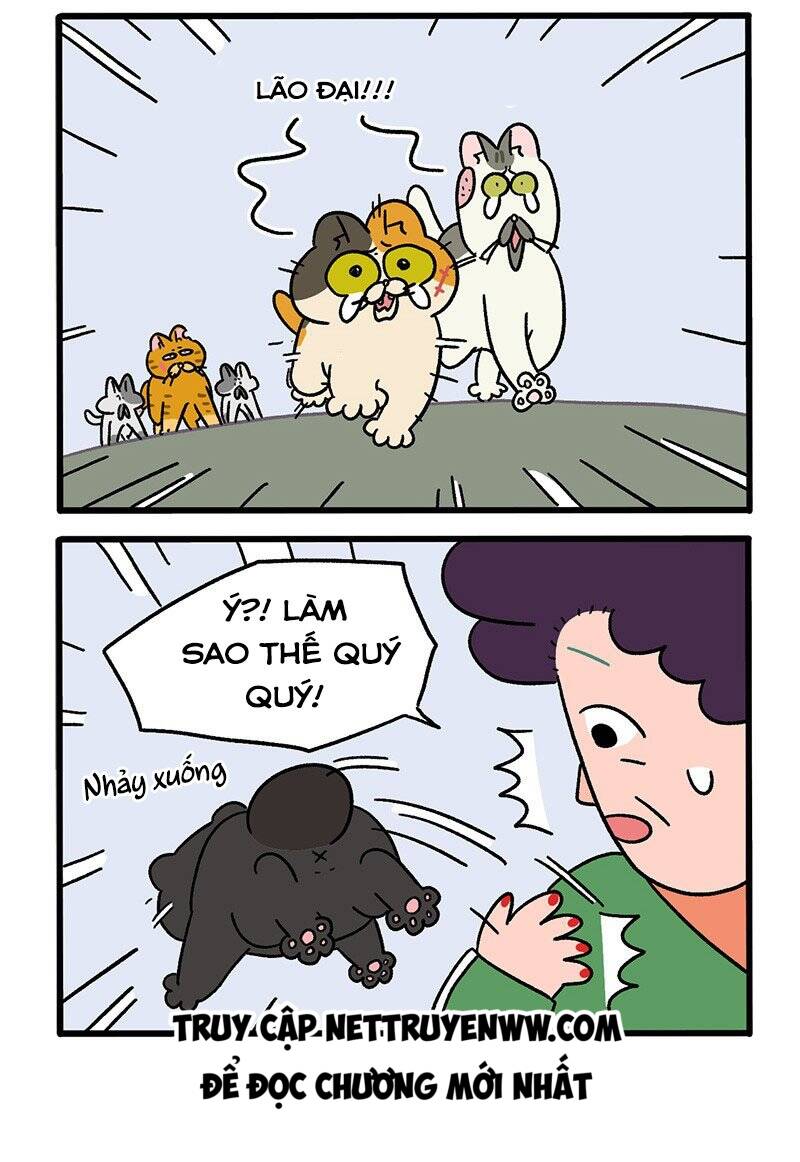 a mãn và mạch trà chapter 45.1 4