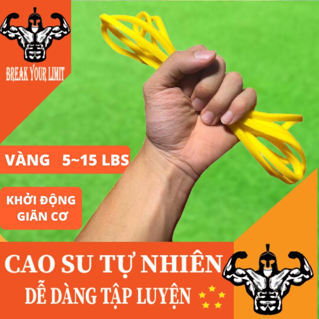 Dây đàn hồi đa năng kháng lực Power Band tập luyện Squat, Chống đẩy, Cơ tay trong Gym, Calisthenics, Streetworkout, Yoga