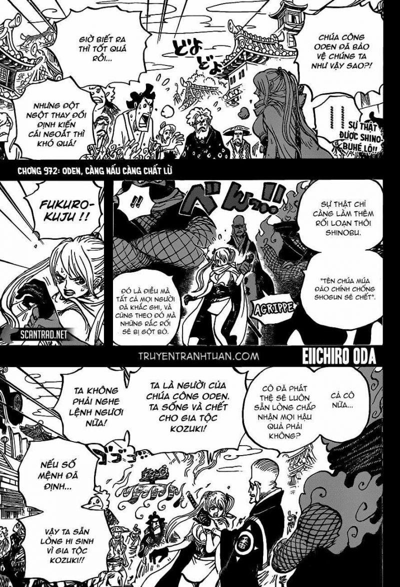 đảo hải tặc - one piece chapter 972 1