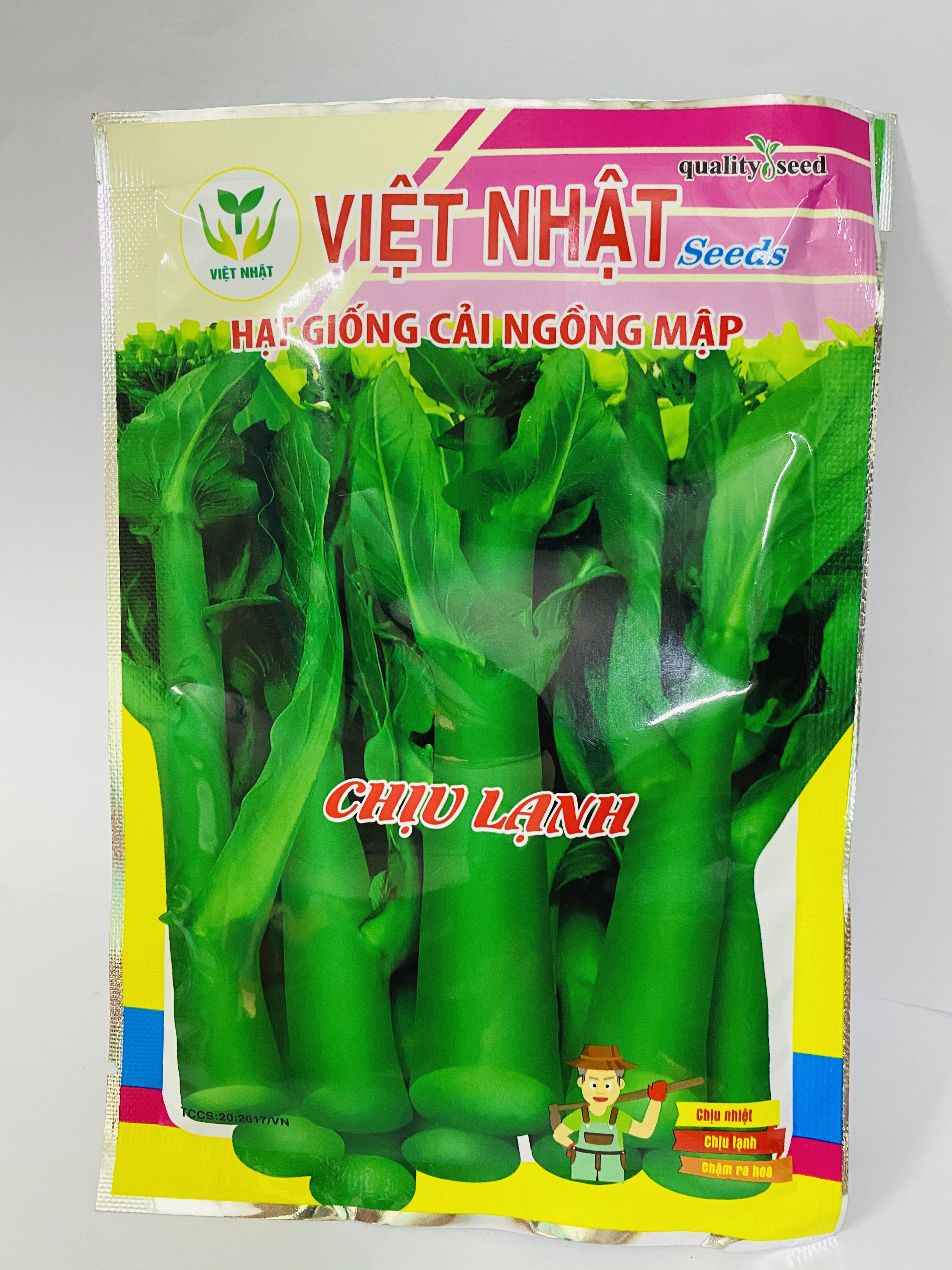 Hạt giống cải ngồng mập chịu lạnh