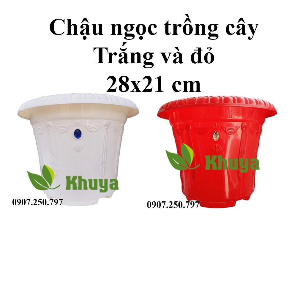 Chậu Ngọc trồng cây 28x21cm Trắng và Đỏ