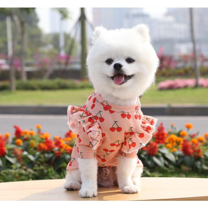 Váy cho chó mèo Váy cộc tay Quần áo thú cưng Cutepets  Pet shop  Grooming  Spa Thú cưng Hà Nội