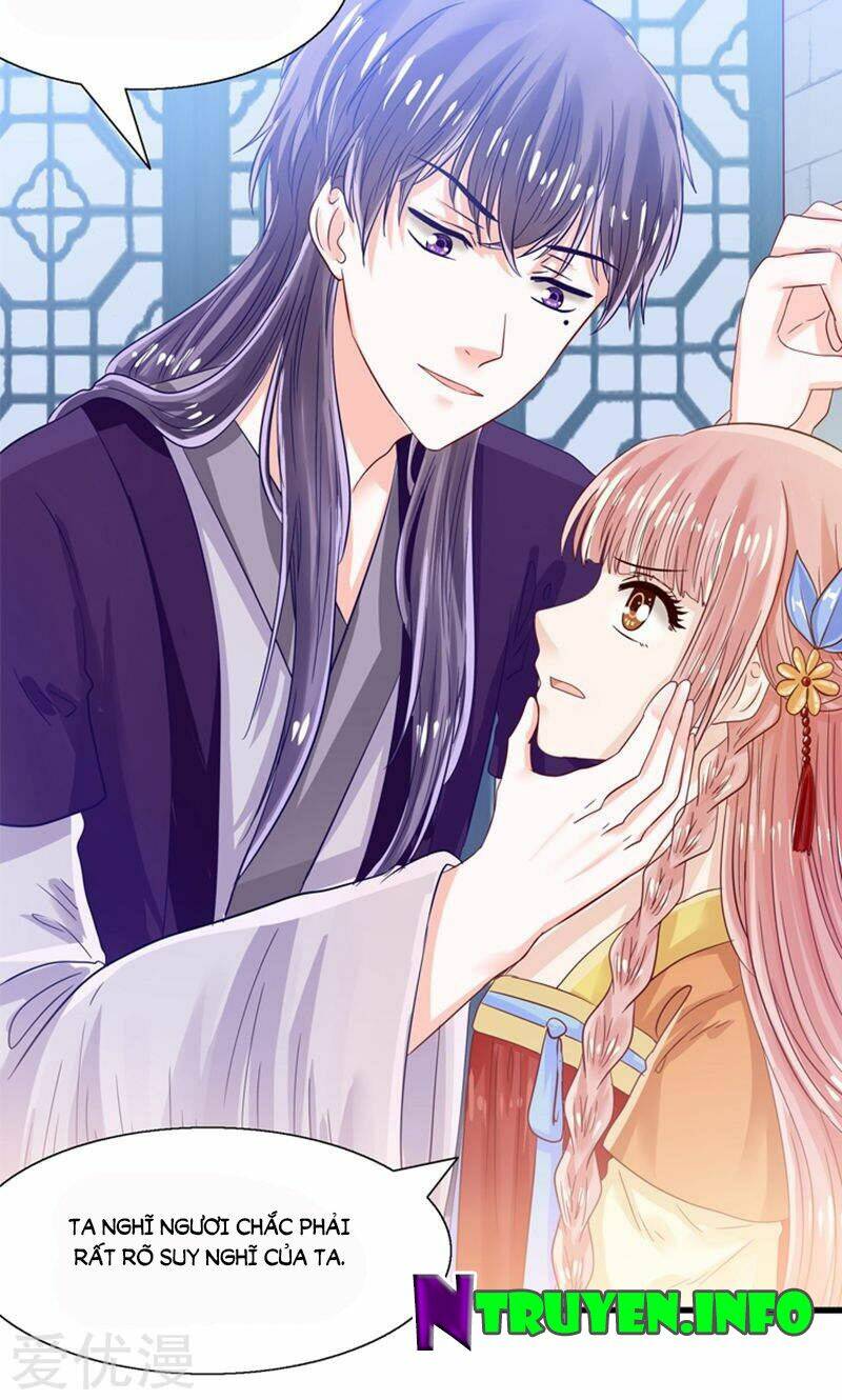 tôi bị gấu trúc nhìn trúng rồi chapter 24 13