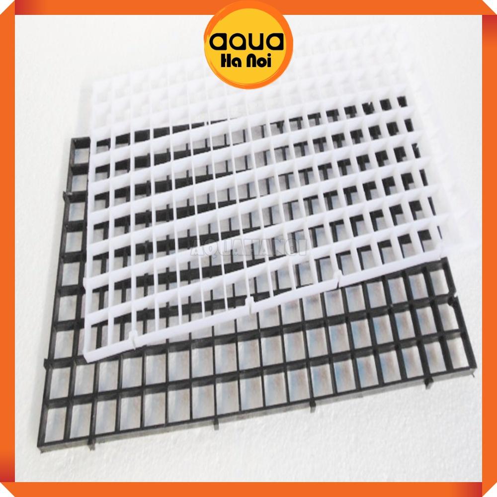 Vỉ nhựa ngăn bể cá - Tấm vách chia, đậy nắp hồ cá thủy sinh - xịt foam tạo layout bán cạn - 15x30/30x30cm
