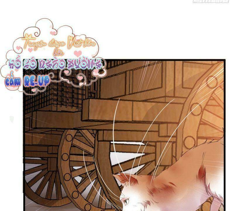 sát thủ vương phi không dễ chọc chapter 31 25