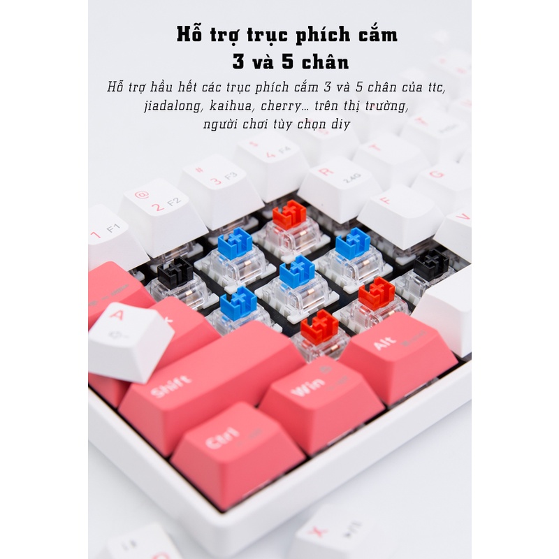 Bàn phím cơ không dây Dual Mode Newmen GM610 Pro,tặng kèm bộ 4 keycap rồng-hổ,tương thích PC/Laptop/Mac/..., bảo hành 24 tháng - Hàng chính hãng