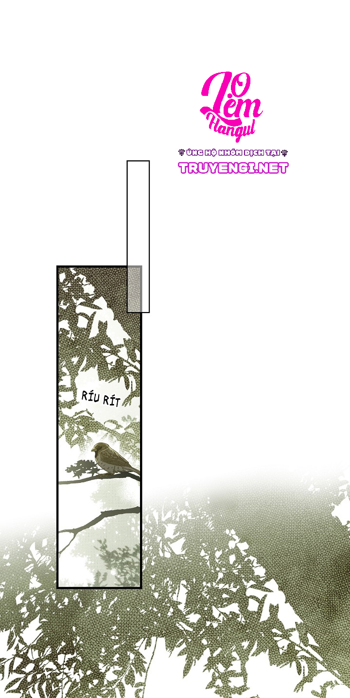 tiểu thư bí ẩn chapter 16 52