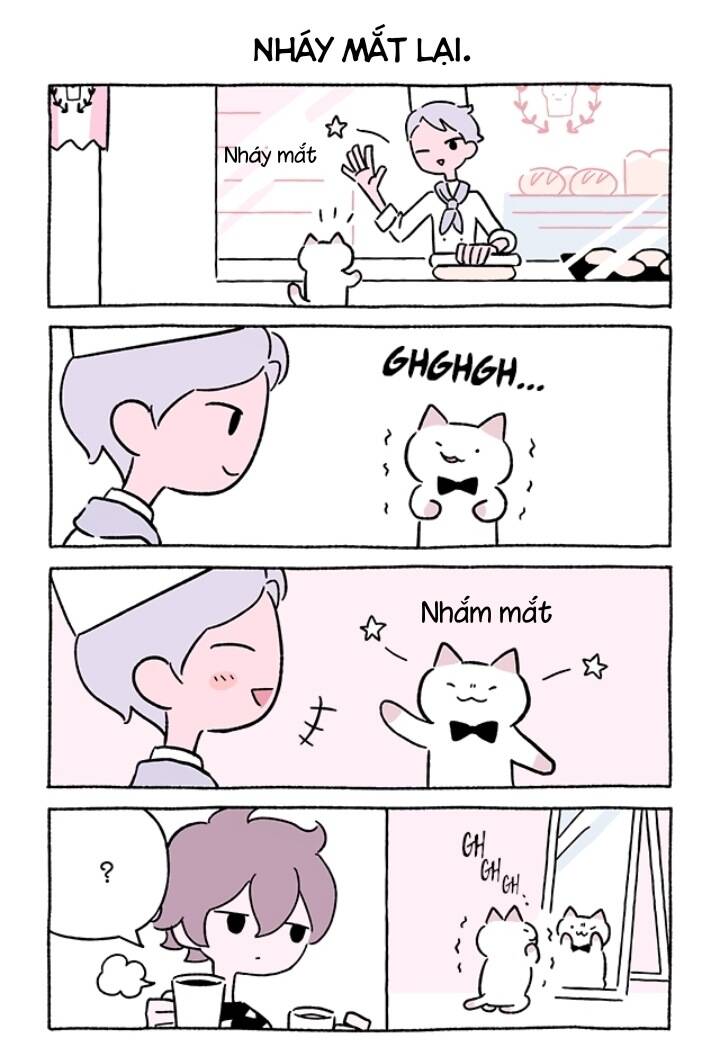 chú mèo kỳ diệu kyuu-chan chapter 746 3