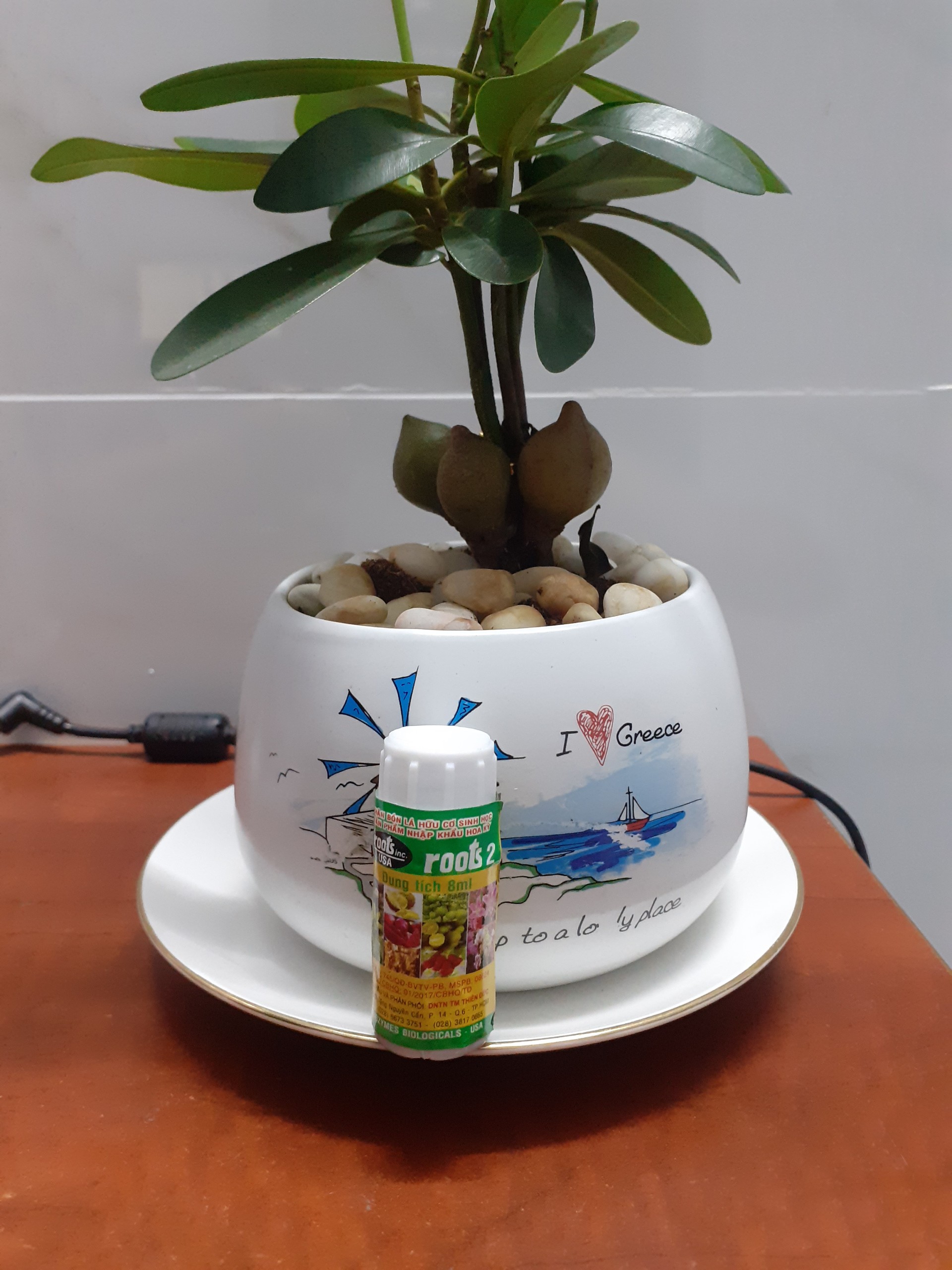 Roots 2 phân bón lá hữu cơ sinh học nhỏ mà có võ nha.