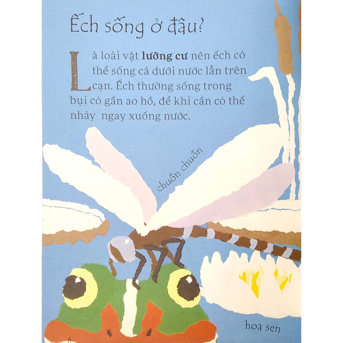 Sách Nòng Nọc Hóa Ếch Như Thế Nào?