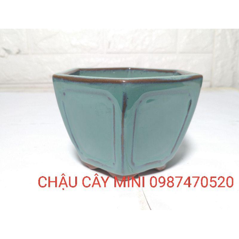 Chậu lục giác cao mini L02,chậu cây cảnh mini, chậu trồng cây bonsai