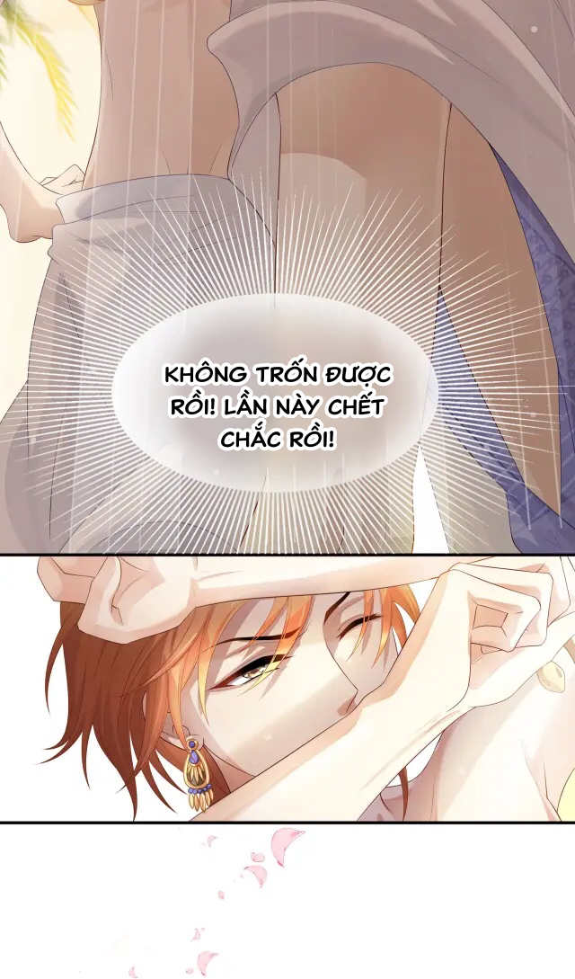 nàng và bảy người tình chapter 4 34