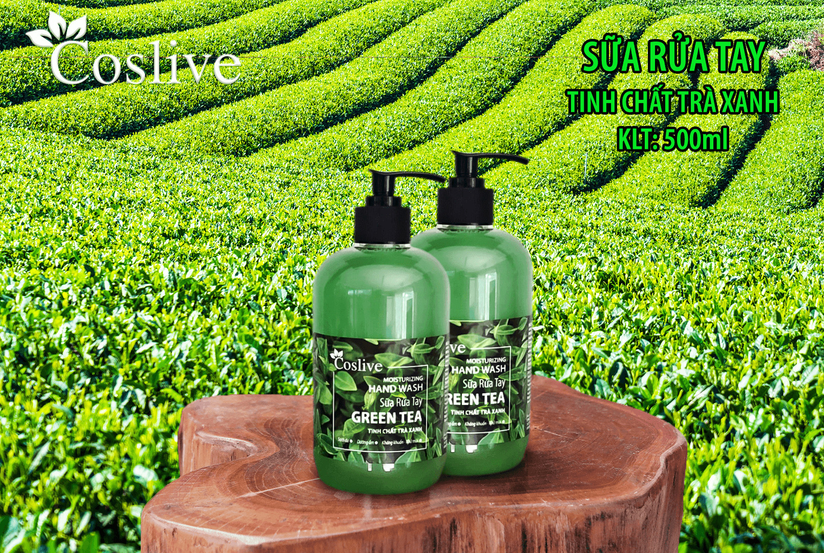 SỮA RỬA TAY TRÀ XANH COSLIVE 500ML