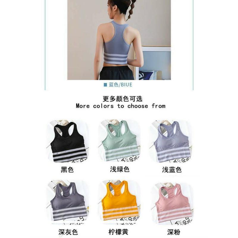 Áo bra tập gym 3 sọc có đệm ngực
