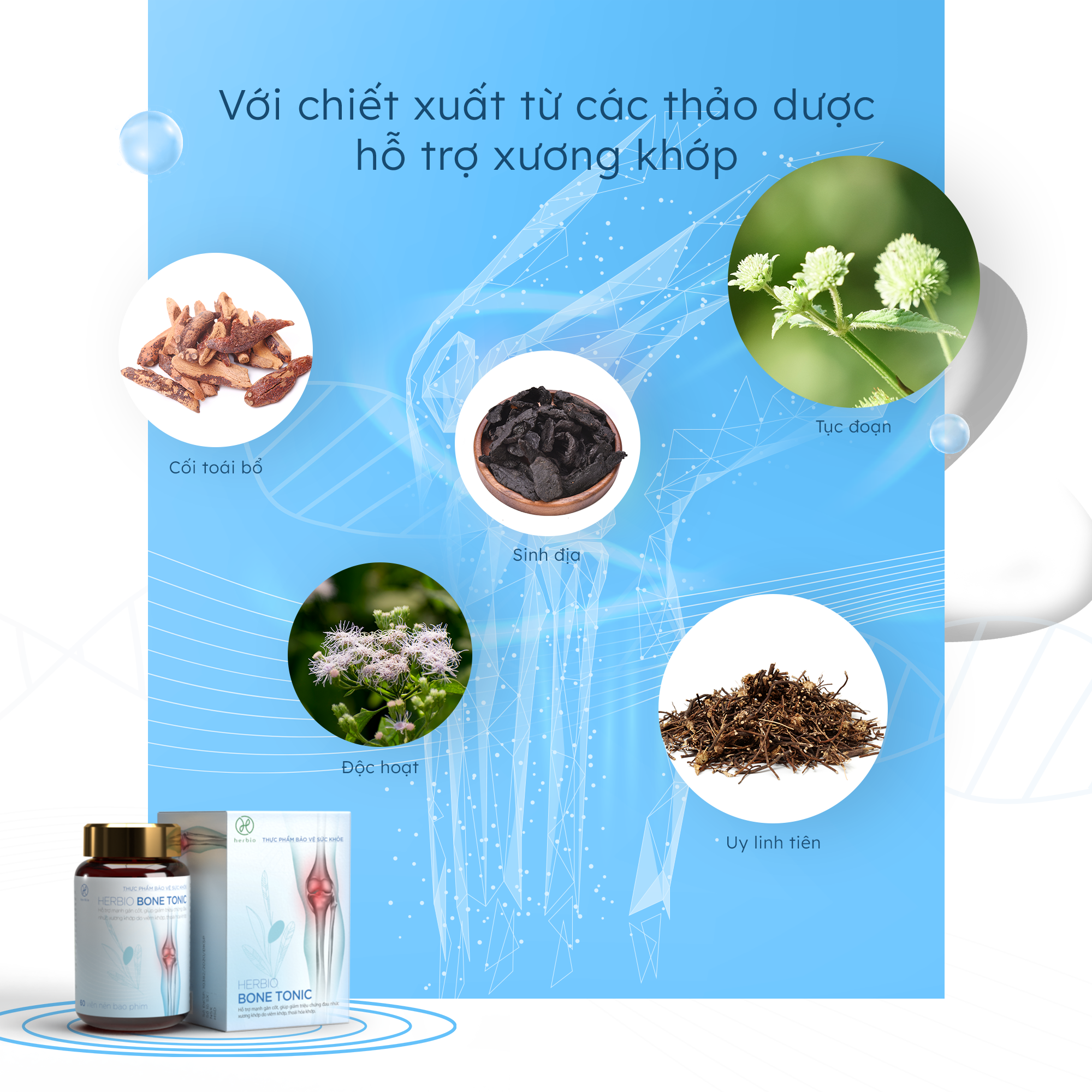 Viên Uống Bổ Xương Khớp Herbio Bone Tonic - 100% thảo dược tự nhiên theo công thức y học cổ truyền, hỗ trợ mạnh gân cốt, giảm các triệu chứng đau khớp, tăng cường sự dẻo dai, linh hoạt (Hộp 1 chai x 60 viên)