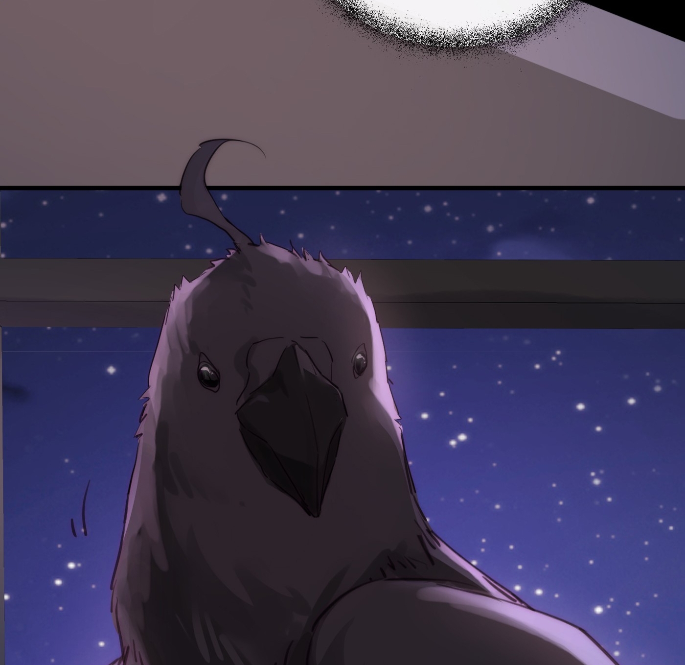 bông hoa độc của nhà công tước chapter 5.1 4