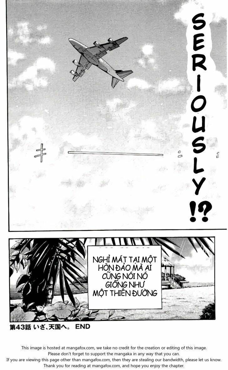 hachi ichi - 8 nàng 1 chàng chapter 43 17