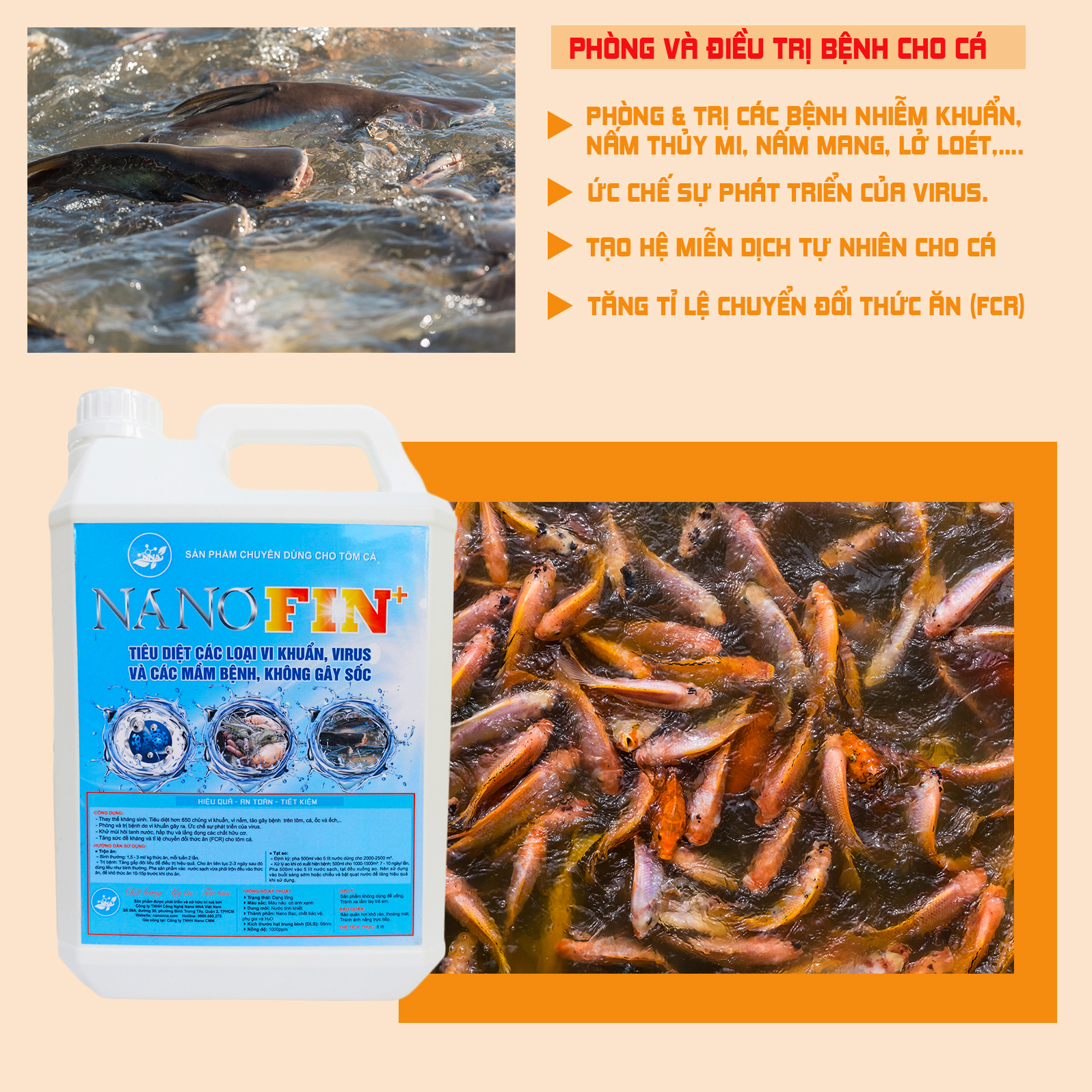 Nano bạc thủy sản Fin+ 1000ppm 5 lít - Diệt khuẩn phòng bệnh tôm cá, xử lý ao nuôi