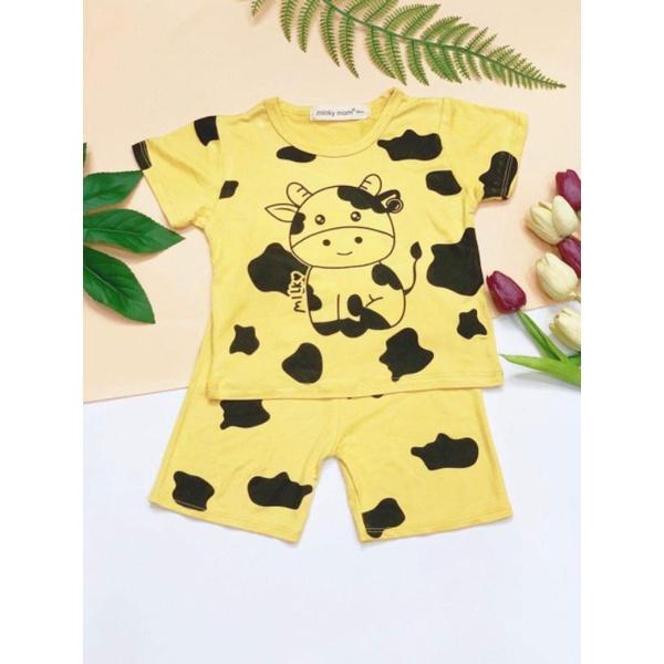 BỘ CỘC BÒ THUN LẠNH MẪU MỚI