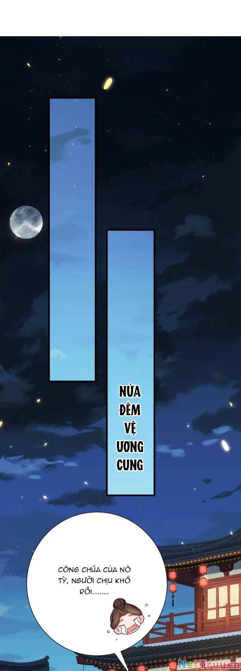 phương thức sinh tồn của công chúa pháo hôi chapter 65 7