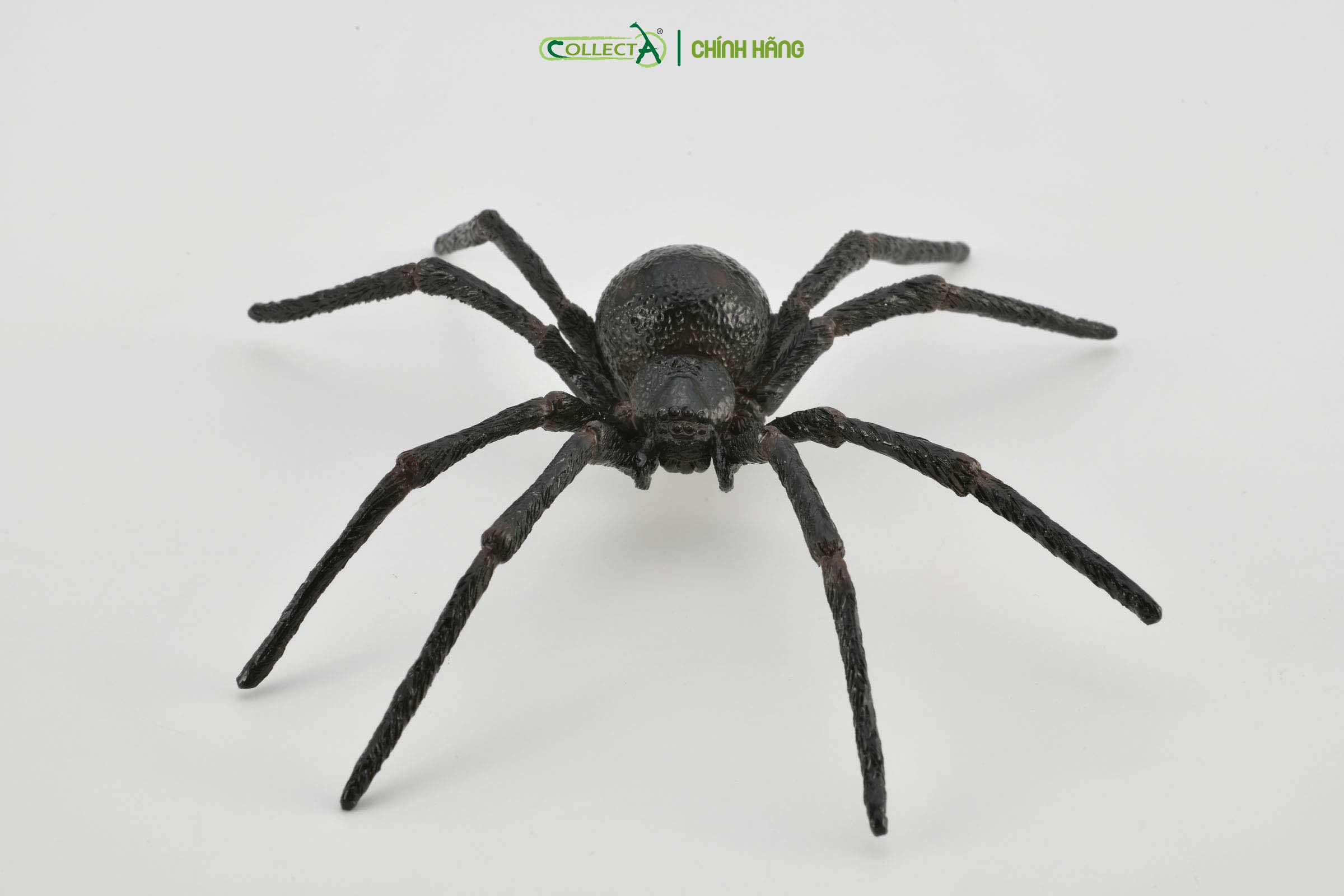 Mô hình thu nhỏ: Nhện Goá Phụ Đen - Black Widow Spider, hiệu: CollectA, mã HS 9653010[88884] -  Chất liệu an toàn cho trẻ - Hàng chính hãng