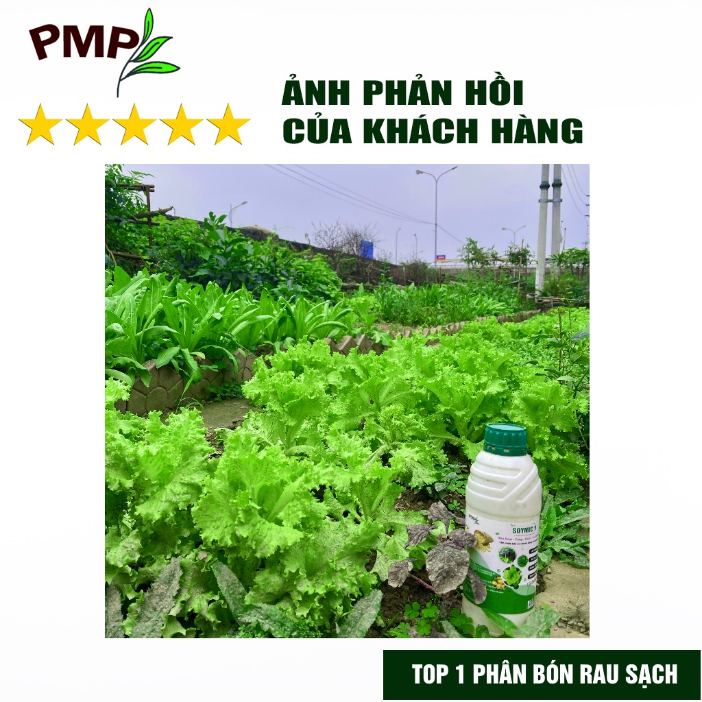 Phân SOYMIC V PMP Siêu Phân Bón Ủ Vi Sinh Từ Đậu Nành, Trứng, Chuối, Humic, Vi Lượng Cho Rau Sạch 1000ml