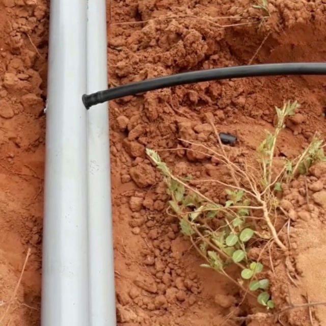 100 cái khởi thủy ren 6mm 6 ly  dùng cho hệ thống tưới cây