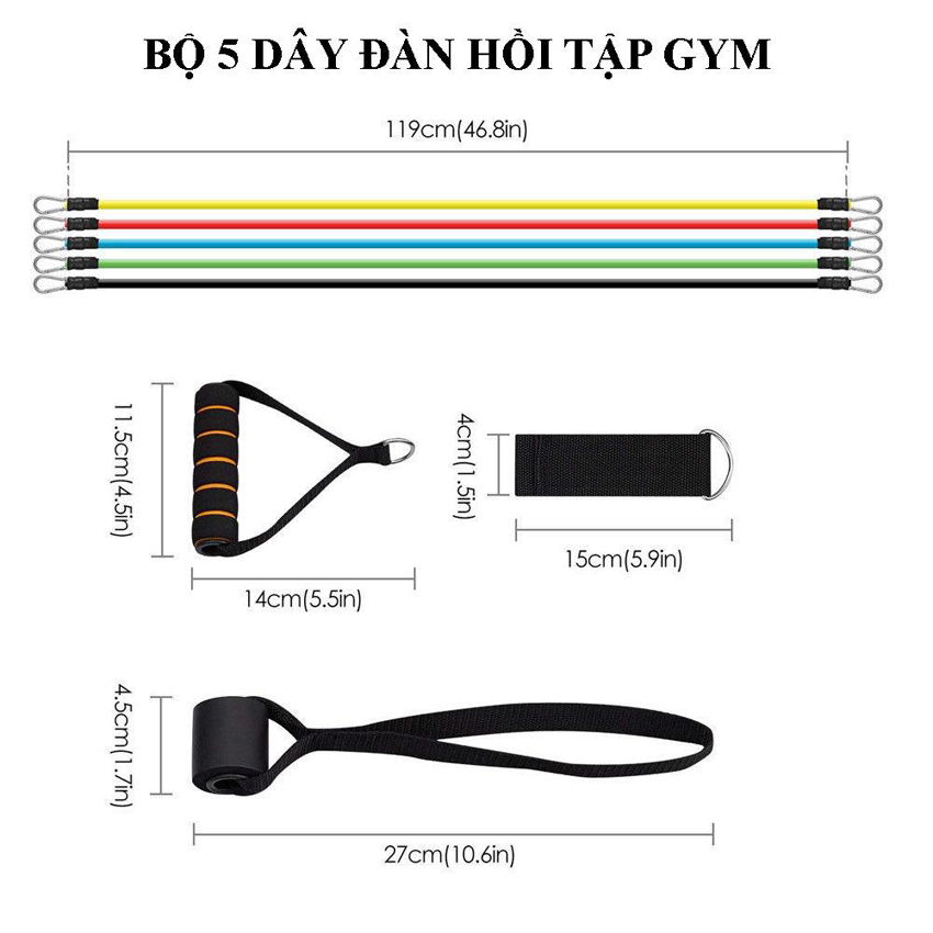 Combo 2 sản phâm tập Gym : 1 con lăn tập bụng 4 bánh + 1 bộ dây ngũ sắc - Chịu lực tốt độ đàn hồi cao tập luyện cơ tay vai ngực bụng mông chân hiệu quả