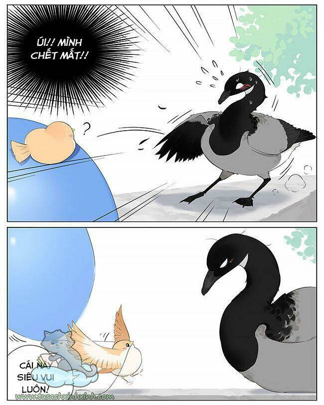 chim sẻ gọi ngỗng trời chapter 11 2