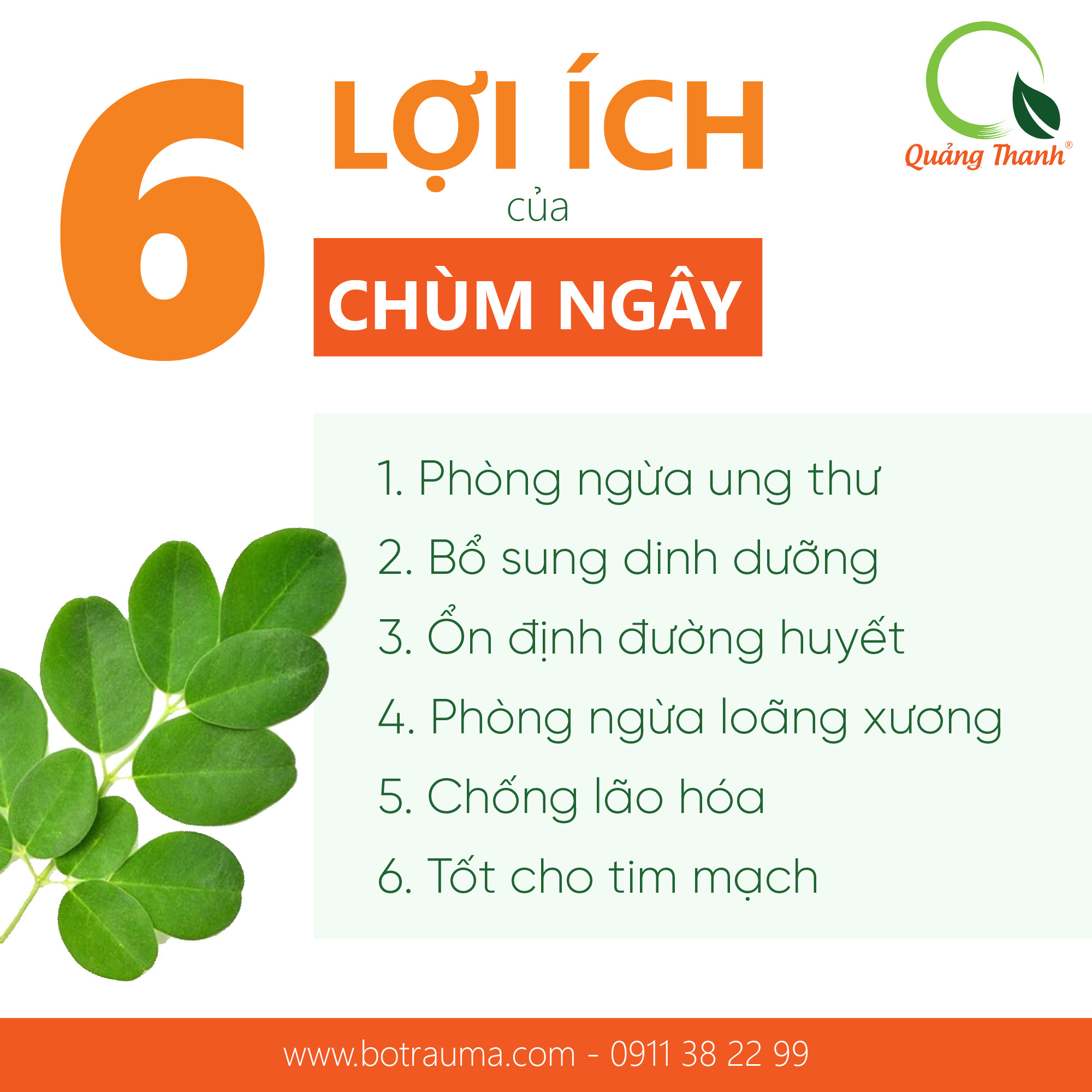 [CHÍNH HÃNG] Bột Chùm Ngây Quảng Thanh 100% Nguyên Chất Sấy Lạnh - Ngừa ung thư, ổn định đường huyết - Gói 50 gr