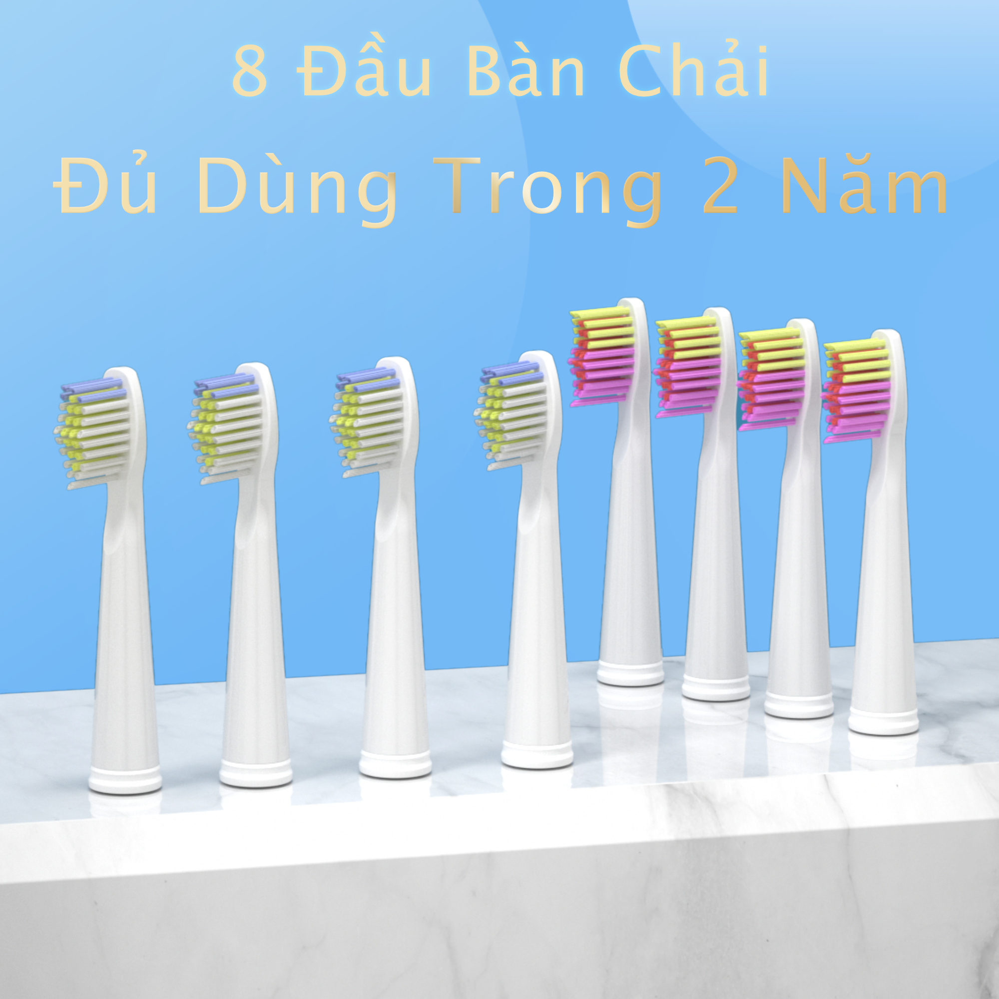 Bàn chải đánh răng điện Seago SG 507, tặng kèm 8 đầu bàn chải và hộp đựng