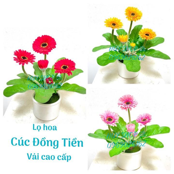 LỌ HOA CÚC ĐỒNG TIỀN VẢI CAO CẤP ĐỂ BÀN