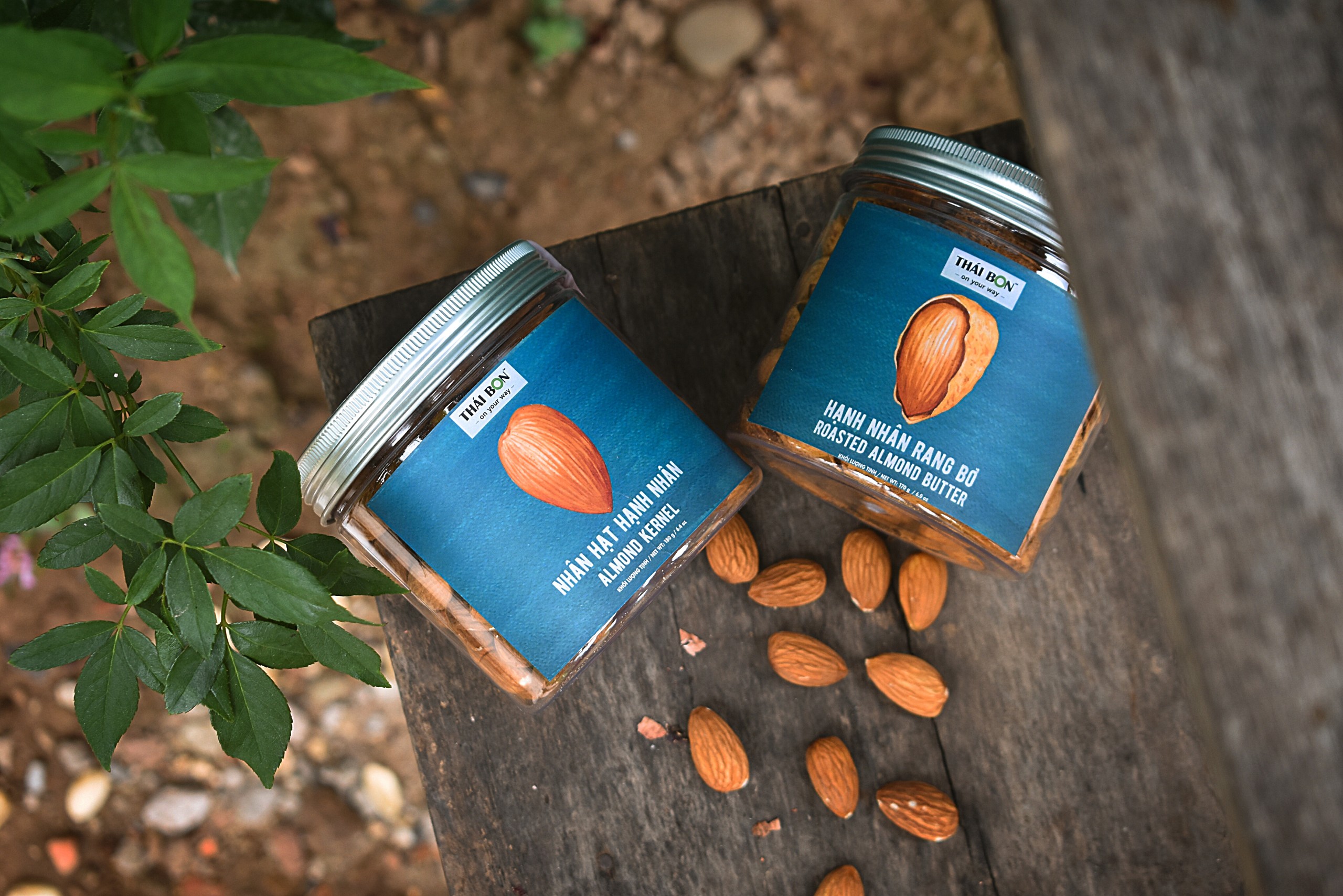 Hạnh nhân rang bơ hộp 240g - Hạt dinh dưỡng Thái Bon