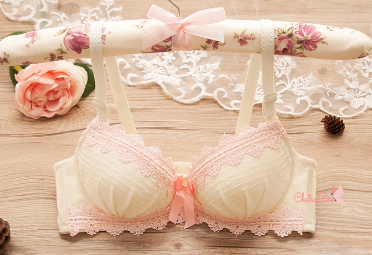 Bộ đồ lót nữ đẹp cotton có gọng mút vừa viền ren thêu