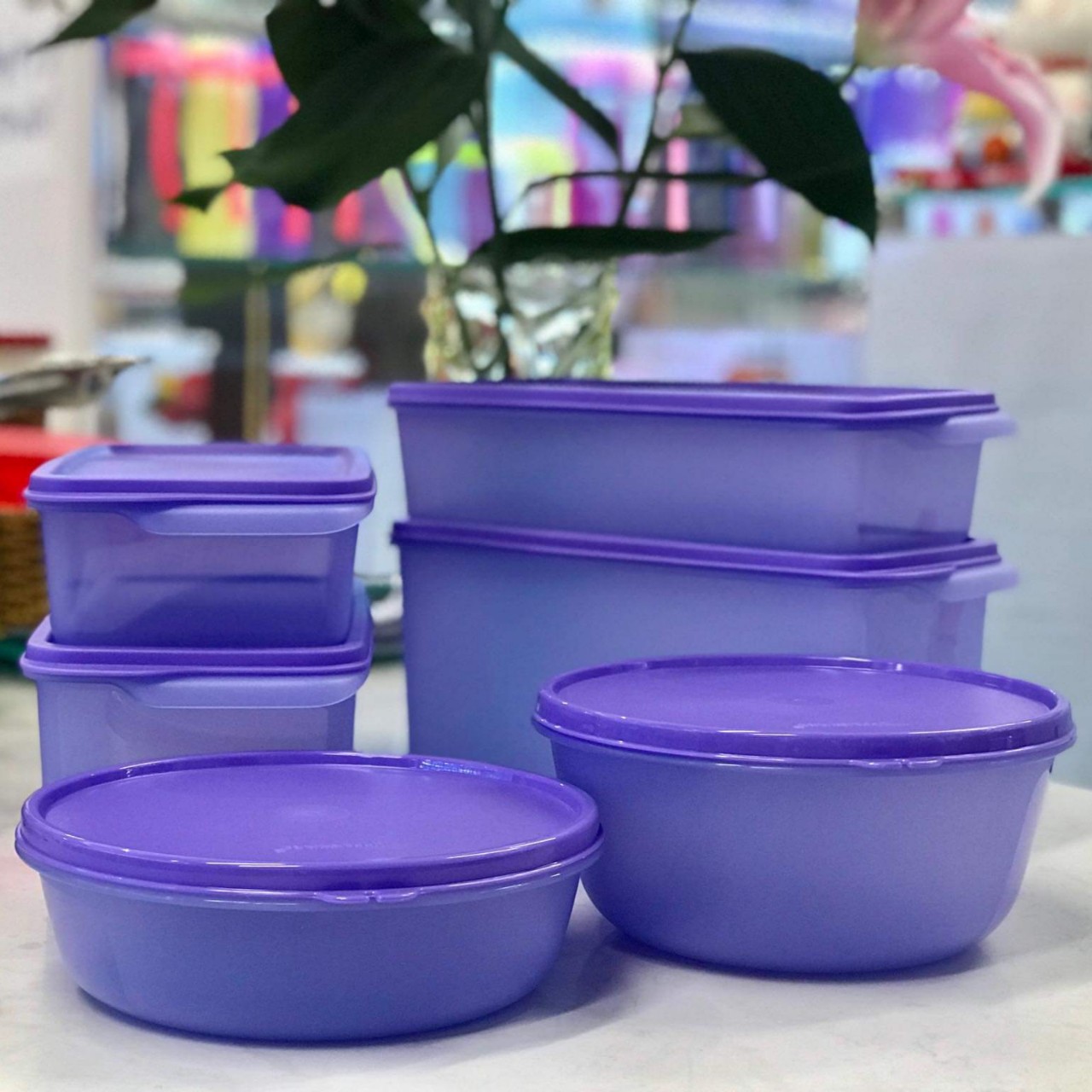 BỘ 6 HỘP BQTP NGĂN MÁT TUPPERWARE