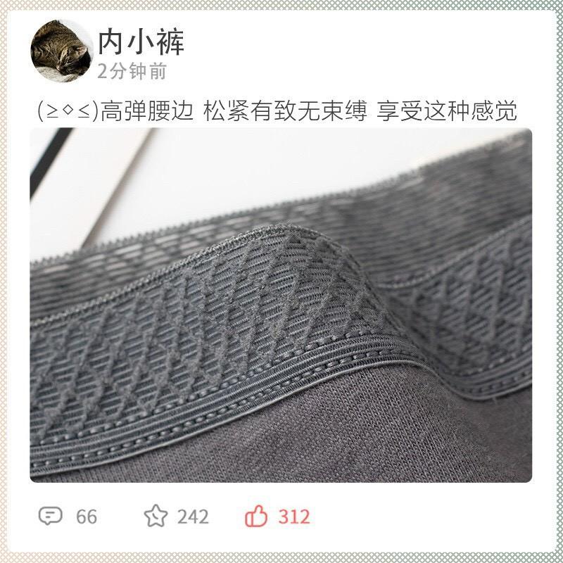 Quần Lót Cotton Cạp Lưới Cao Cấp, quần lót cotton tăm tre viền lưới mẫu mới sexy Quần lót nữ cotton QL03
