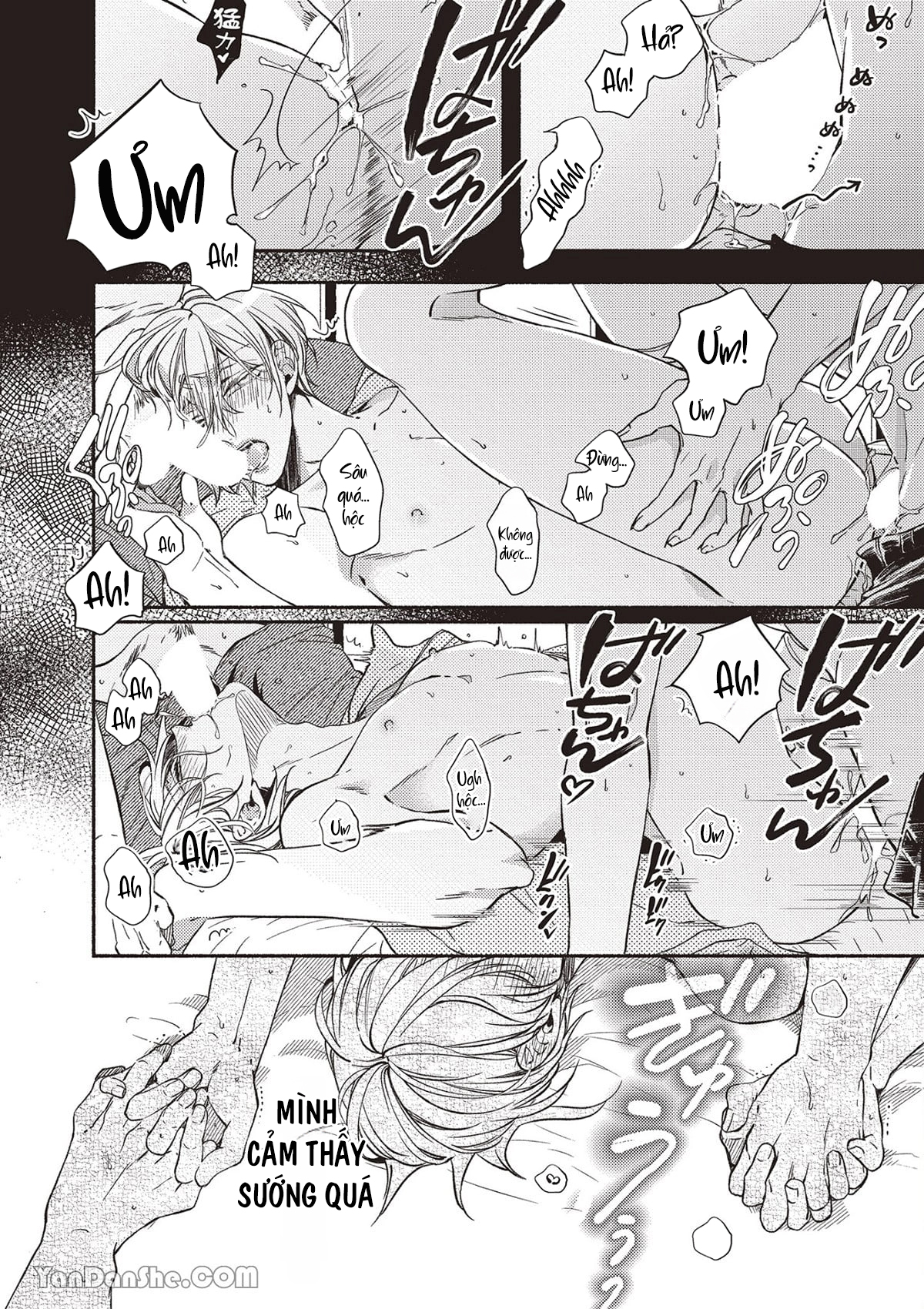 omega mạnh mẽ là bạn đời của chúng tôi chapter 4.2 8