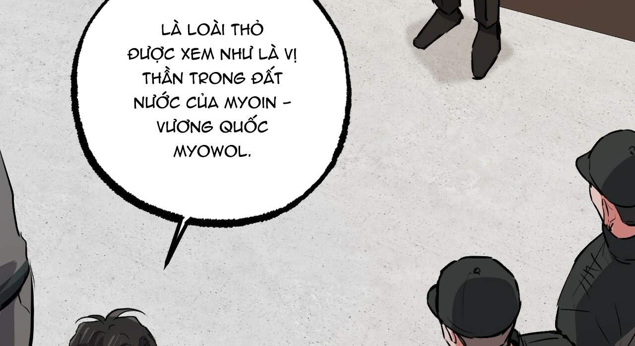 đàn thỏ của habibi chapter 47 123