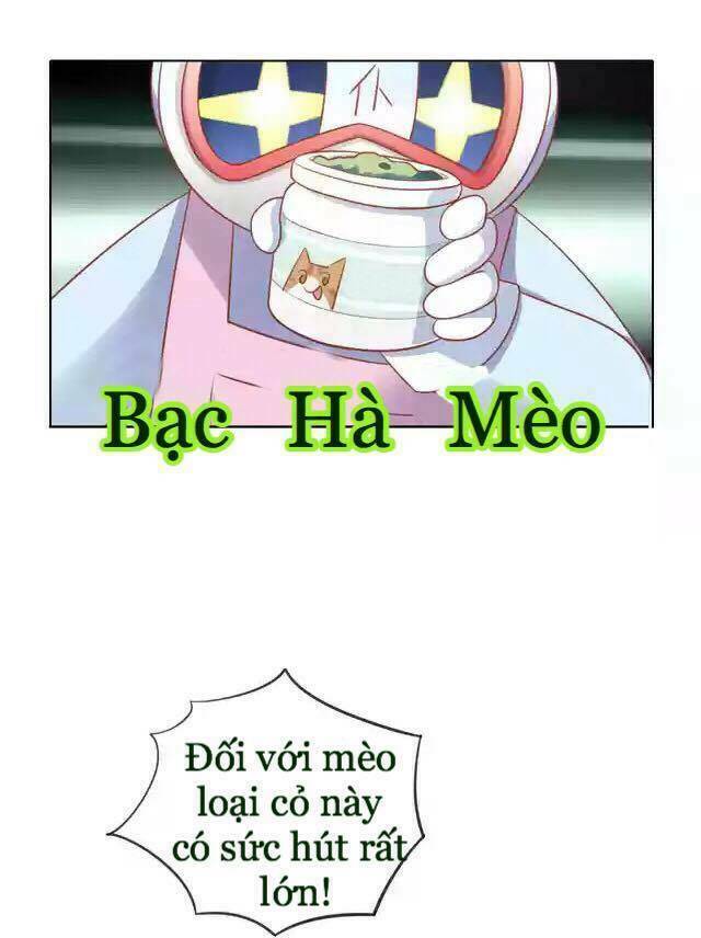 dưới móng vuốt mèo chapter 12 24