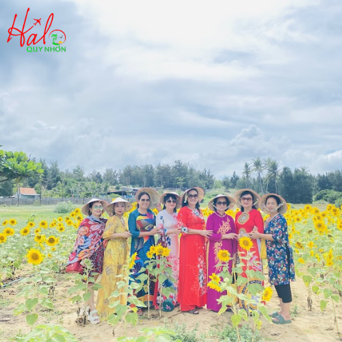 BAY TRƯA VỀ TRƯA _PHÚ YÊN