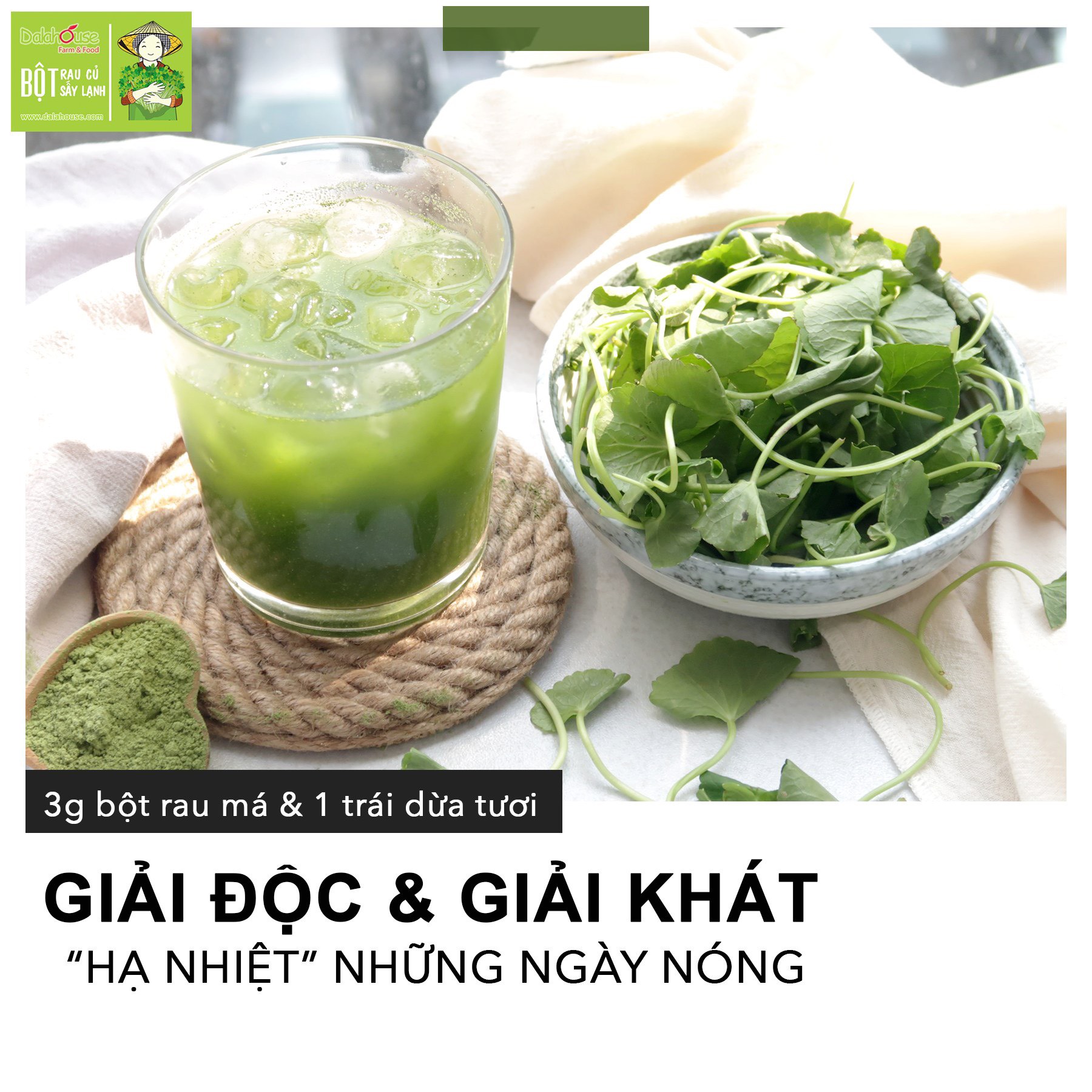 Bột Rau Má hữu cơ nguyên chất sấy lạnh Dalahouse - Hộp 20 gói nhỏ 3gr định lượng sẵn cho 1 lần sử dụng - Giải độc, mát gan, thanh nhiệt cơ thể, giảm mụn, đẹp da. Kháng khuẩn, giảm viêm, hỗ trợ tiêu hóa