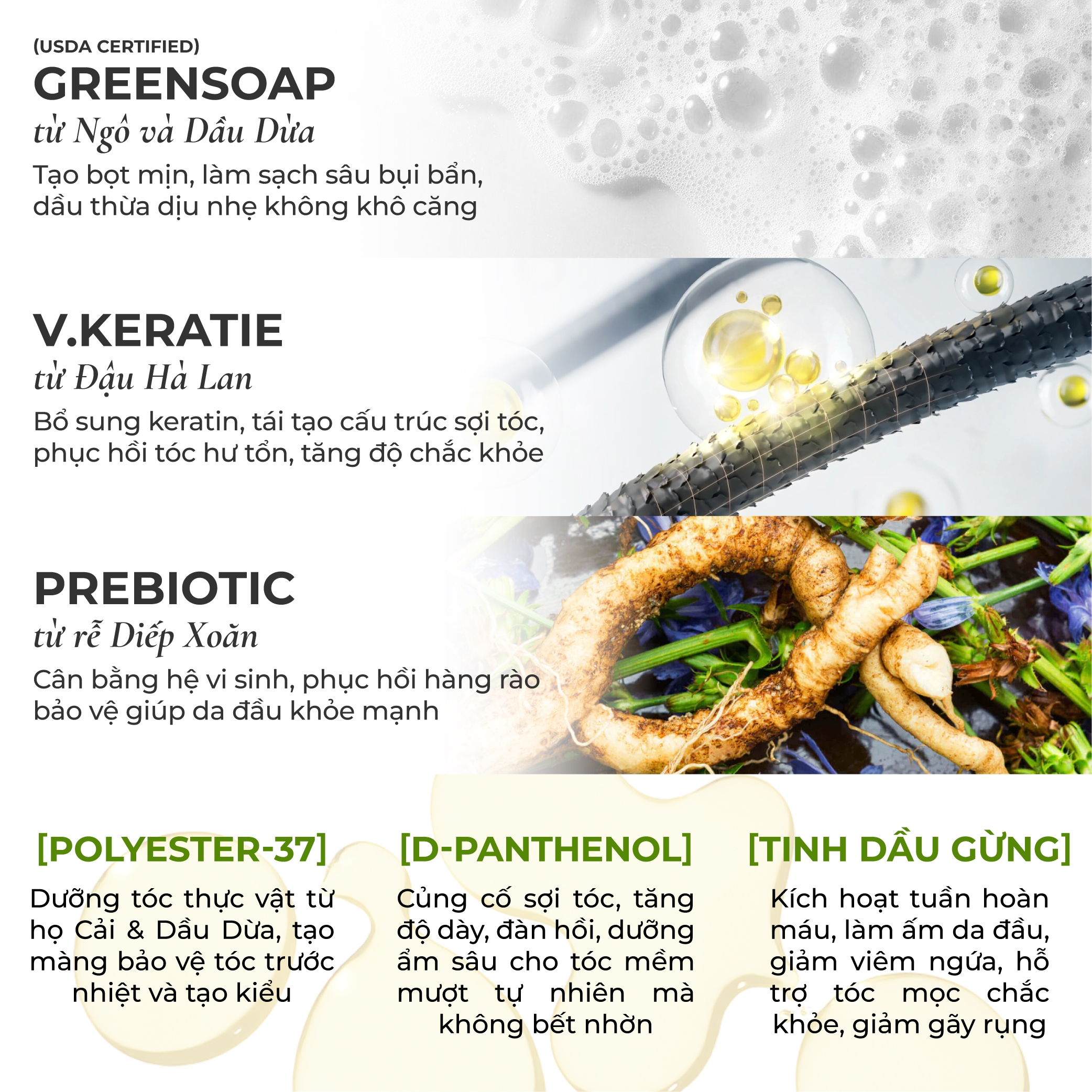 Dầu Gội Gừng Cam Thảo Heebee’s Sạch Da Đầu, Ngăn Gãy Rụng, Kích Thích Mọc Tóc, Suôn Mượt, Bảo Vệ Màu Nhuộm 300/500ml