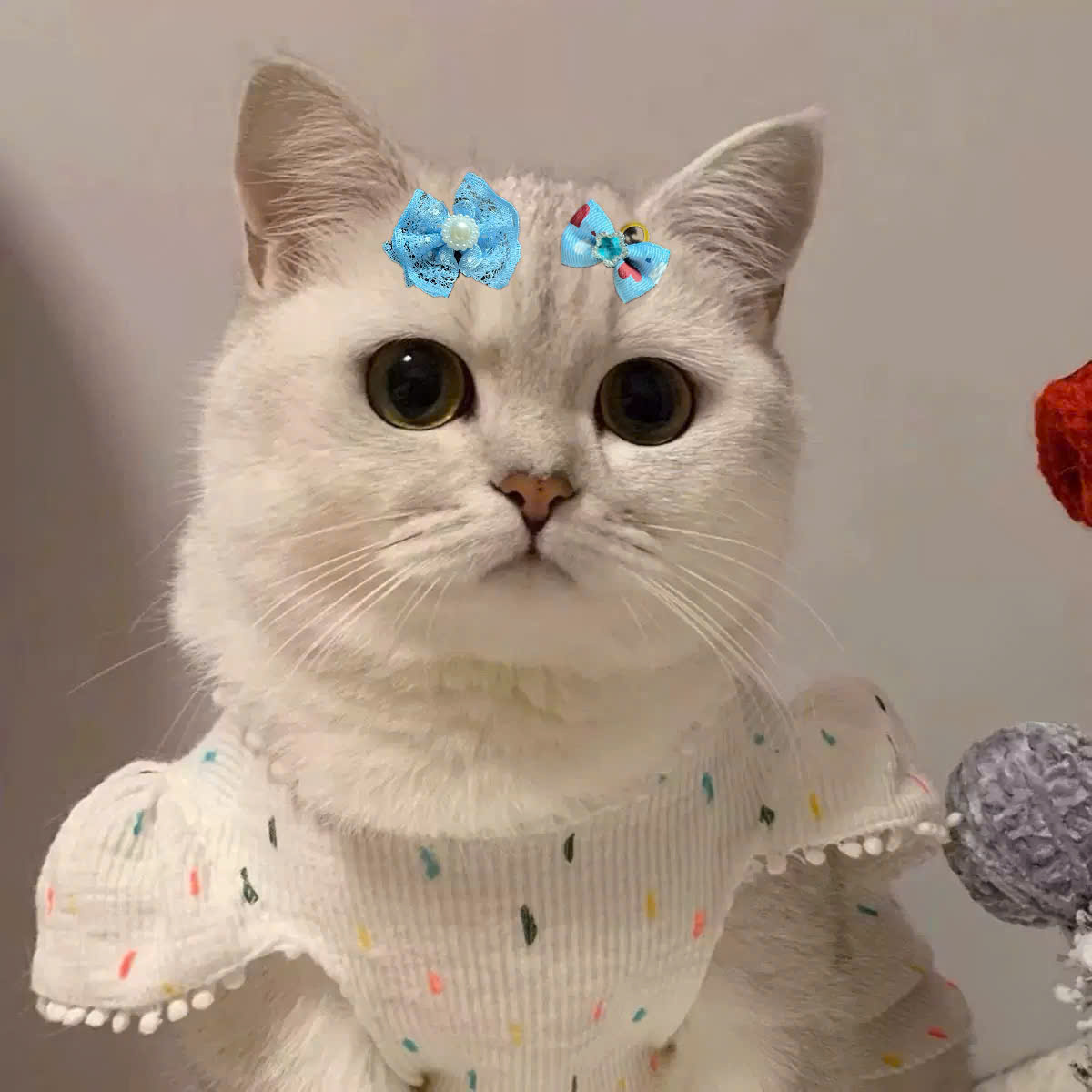 NƠ KẸP TÓC SANG TRỌNG NHIỀU MÀU DỄ THƯƠNG MÃ 17 XINH XẮN CHO THÚ CƯNG CHÓ MÈO