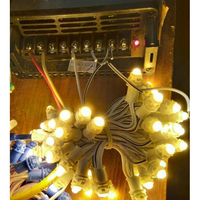 Màu vàng nắng Dây led đúc F5 -12v, dây led đúc  cuộn dài 2.5m - 50 bóng trang trí cuốn cây, trang trí quán đẹp long lanh